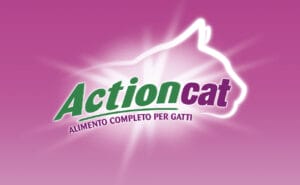 Actioncat / Packaging design